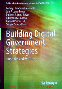 BUILDING DIGITAL GOVERMENT STRATEGIES; Principles & Practices vol.16